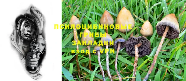 ECSTASY Алзамай