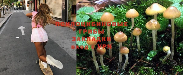 первитин Алексин
