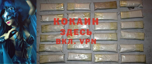 ECSTASY Алзамай