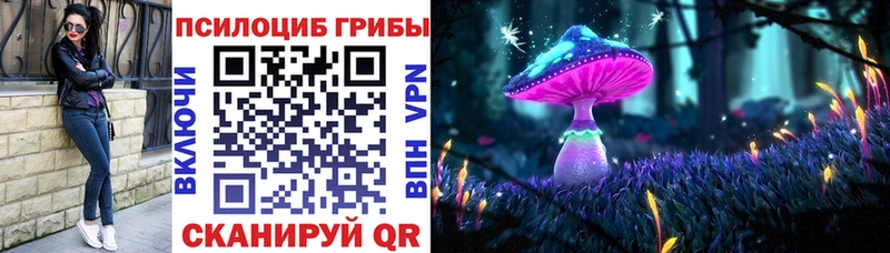 Псилоцибиновые грибы Psilocybe  Ачинск 